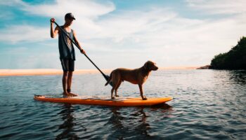 Sponsored paddle board