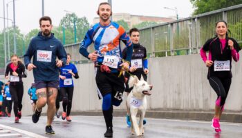 sherise-van-dyk-nS3HSEBrcik-unsplash Sponsored run for Challenge 20