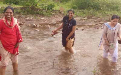 P5 India IMG-20230925-WA0002 cropped